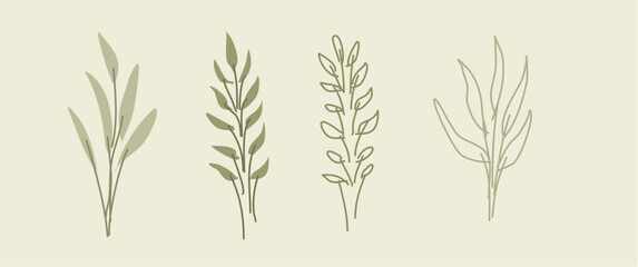 Simple and minimalist leaves plant in hand-drawn style vector illustration, leaves pattern illustration, suitable for asset, decoration, nature and beauty icon, illustration, gallery.