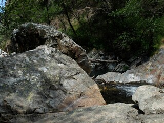 Meandering stream flowing through a verdant green forest adorned with rocks and foliage
