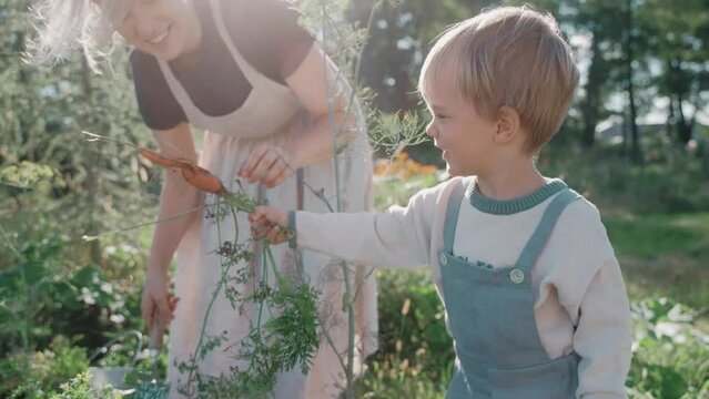Mother and a child hanging out at their home garden on a sunny day. Sustainable lifestyle. Woman teaching a baby boy about greens. Happy family spending time together. High quality 4k footage