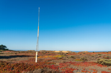 Antenna at Ford Ord State Park in Monterey