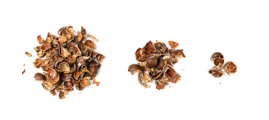 Chestnut Husks Isolated, Edible Sweet Chestnuts Shells, Bio Garbage for Compost, Organic Waste Ingredient