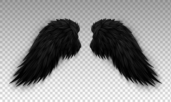 Black devil wings isolated on transparent background. Dark angel outfit, masquerade, carnival costume. Daemon's realistic wings. Three dimensional monster or bird wings. Vector illustration EPS 10