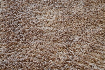 Closeup shot of details on a fuzzy brown rug
