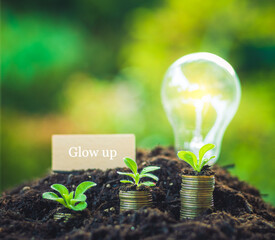 グローアップ（glow up）のイメージ