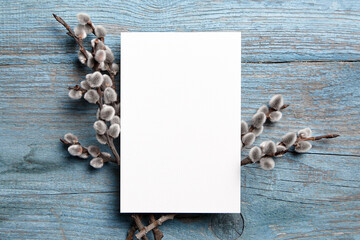 Greeting card mockup with branch of pussy willow on blue wooden background, top view, flat lay. Blank Easter Holiday card mock up with soft fluffy catkins
