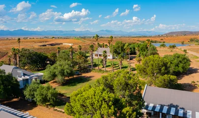 Fotobehang Country Guest House and Ostrich Farm near Oudtshoorn South Africa © Natascha