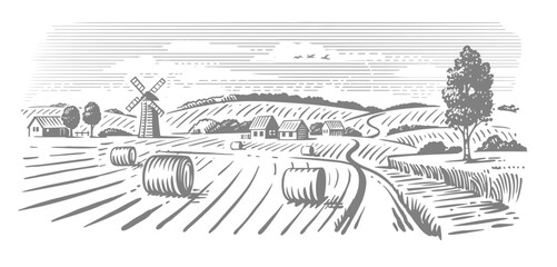 Rural landscape, agriculture farm vector. Harvesting - 581170771