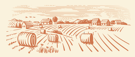 Rural landscape, agriculture farm vector. Harvesting