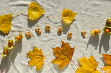A Autumn arrangement on textile, yellow leafs surround the letters 