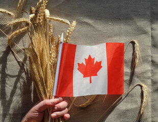 ears and an Canadian Flag are held over textile background in sunlight