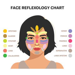 Face Reflexology Chart Inner Organs Massage Areas Body Parts