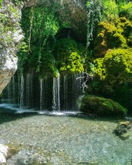 Vertical image of a beautiful scene of a waterfall with beautiful plants in Fontana Capello