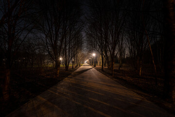 ciemna aleja w parku nocą