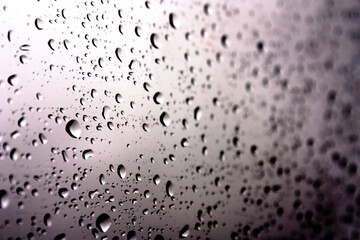 Raindrops on a Window 