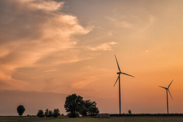 Wiatraki © Magdalena