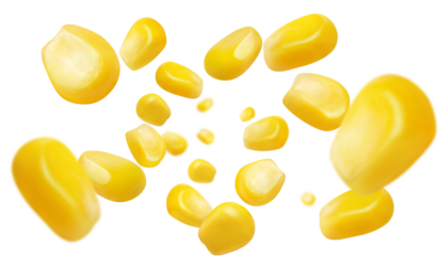 Flying corn seeds cut out
