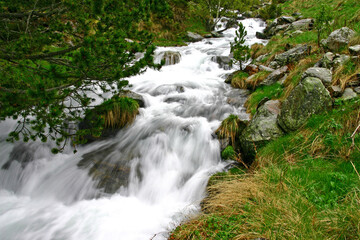 waterfall in the forest