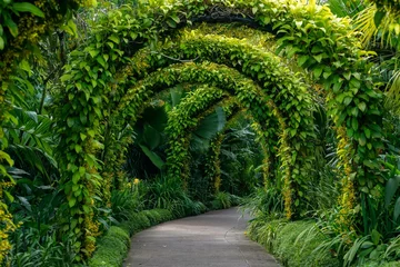 Gordijnen Beautiful green plant arches over the pathway in the garden, Singapore © Miguel Vidal/Wirestock Creators