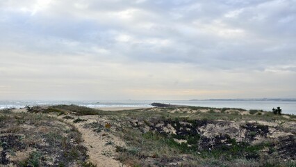 Mesmerizing shot of beautiful rocky and grassy seashore under cloudy sky