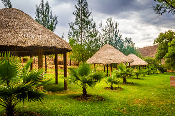 Fototapeta na wymiar rustic umbrellas in green garden in middle of the forest, san pablo pastoria in monte escobedo zacatecas 