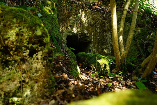 Ancient etruscan ruins in Marturanum archeological park, Barbarano Romano, Viterbo, Lazio, Italy