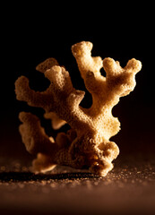 сщкфд on black background