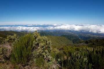 Fototapeta na wymiar Portugal - Madeira - Pico Ruivo - Zustieg