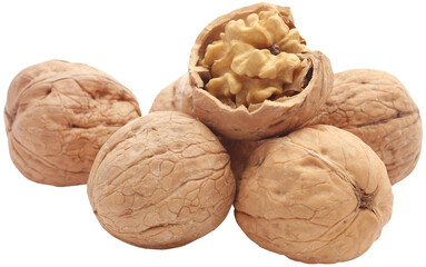 Walnut