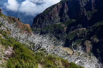 Portugal - Madeira - Pico Ruivo - Zustieg