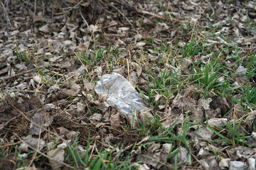 Plastic bottle discarded in nature.