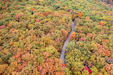 Aerial view of Fall Foliage colors with winding road in Northwest Arkansas landscape along state highway during Autumn season