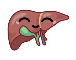 Human smiling liver icon. Vector symbol