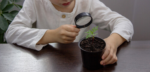 a boy looks at a flower in a pot through a magnifying glass.