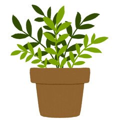 Plant in a pot. Houseplant illustration.