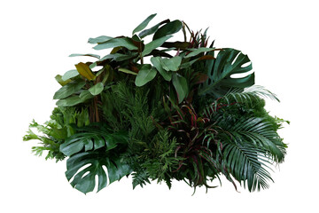 Tropical foliage plant bush (Monstera, palm leaves, Calathea, Cordyline or Hawaiian Ti plant, ferns, and fir) floral arrangement indoors garden nature backdrop