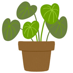 Plant in a pot. Houseplant illustration.