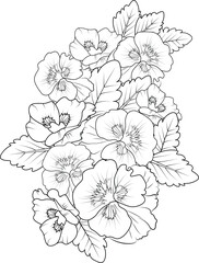 pansy flowers illustration coloring page, simplicity, Embellishment, monochrome, vector art, Outline print with blossoms pansy flower, pansy bouquet leaves, and buds, pansy flower tattoo drawing.