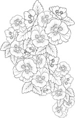 pansy drawing tattoo, Flowers coloring pages, and book, Vector sketch of pansy flowers, Hand drawn pansy flowers, collection of botanical leaf bud illustration engraved ink art style. pansy outline.