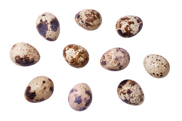 Quail eggs isolated on transparent background. View from above.