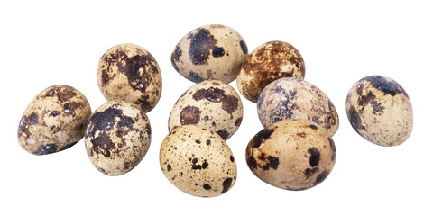 Quail eggs isolated. Collection of quail eggs on a transparent background.