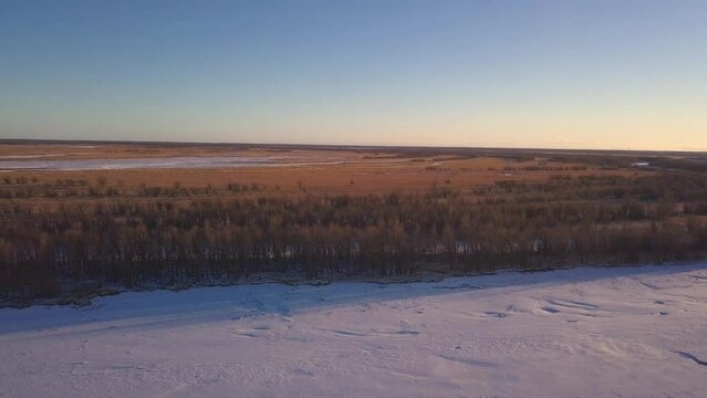 Dry brown grass in a winter meadow. Clip. Aerial view of blue clear sky and golden field.