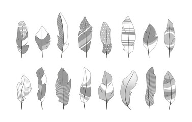 Ornamental feathers. Abstract decorative bird wing plumelet shapes, creative fantasy tribal ethnic quill silhouettes simple flat style. Vector doodle set. Light objects decorated with stripes, spots
