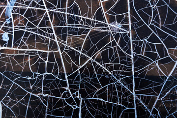 Abstract background board with peeling paint. Cracks seamless black brown and white background