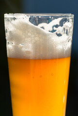 Weizenbier im Sonnenschein