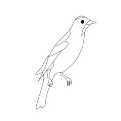sketch of a bird