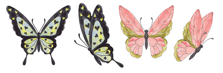 Watercolor illustration of blue yellow butterfly and pink butterfly