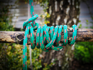Green rope knot on the branch 