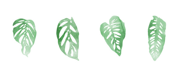 Tropical water-colour leaf elements  isolated on white background