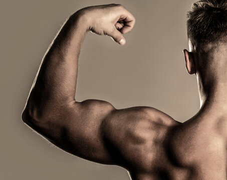 Male naked, healthy musculars guy, torso man isolated. Muscular back, muscular man, muscled back, naked torso
