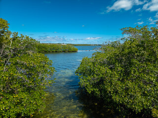 Fototapeta na wymiar View of a pier on the island of Key Largo in Florida